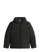 Down Hooded Puffer Jkt Tommy Hilfiger Grey