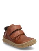 Shoes - Flat - With Velcro ANGULUS Brown