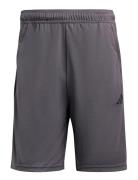 Tr-Es Piq 3Sho Adidas Performance Grey