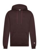 Hooded Sweatshirt Champion Brown