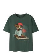 Nkmnova Ss Nreg Top Box Name It Green