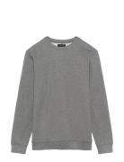 Maharry Crew Matinique Grey