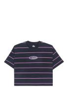 Stripart Ss Tee Quiksilver Navy