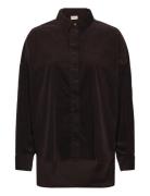 Frcory Sh 3 Fransa Brown