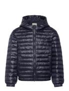 Shiny Light Padded Jacket GANT Navy