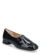 Cuntis_Ver UNISA Black