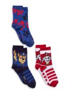 Socks Paw Patrol Patterned