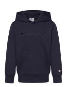 Hooded Sweatshirt Champion Navy
