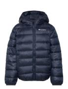 Hooded Jacket Champion Navy