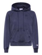 Hooded Sweatshirt Champion Navy