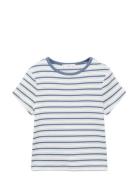 Striped T-Shirt With Contrasting Collar Mango White