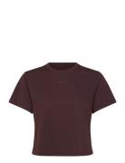 Borg Cropped T-Shirt Björn Borg Brown