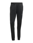 Sea Pant Adidas Performance Black