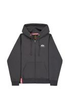 Basic Zip Hoodie Small Logo Alpha Industries Brown