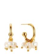 Palma Mini Hoop By Jolima Gold