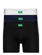 Men's Organic Trunks 3-Pack Danish Endurance Black
