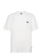 M Summerdale Ss Tee Dickies White