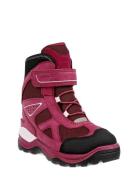Snow Mountain ECCO Pink