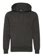 Borg Essential 1 Hoodie Björn Borg Brown