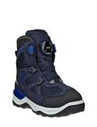 Snow Mountain ECCO Navy