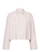 Yd Stripe Boxy Cropped Shirt Calvin Klein Jeans Pink