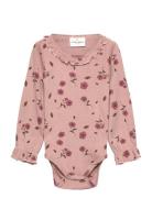 Tnsbpicole L_S Pointelle Body The New Pink