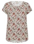 Sc-Samea Soyaconcept Brown