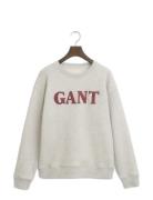 Graphic C-Neck Sweat GANT Grey