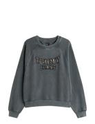 Tjw Bxy Leopard Varsity Crew Tommy Jeans Grey