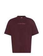 Ss Standard Logo 30S Crewnk Tee Calvin Klein Brown