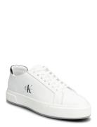 Basket Cupsole Laceup Lth Ml Calvin Klein White