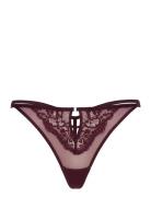 Cinnamon Hl String Tr Hunkemöller Burgundy
