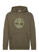 Tree Logo Hoodie Timberland Khaki