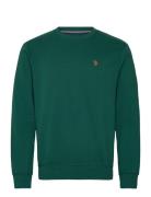 Tais Reg Cot Pe Uspa M Sweat U.S. Polo Assn. Green