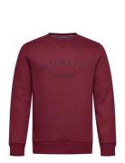 Heritage Ess Aw Crew Hackett London Burgundy