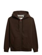 Essential Logo Zip Hoodie Hb Superdry Brown