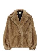 Ihfazoca Ja ICHI Brown