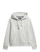 Super Athletics Hood Superdry Grey