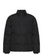 Jjesoho Puffer Collar Jnr Jack & J S Black