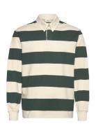 Sdsherman Solid Cream