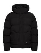 M Eagleville Hooded Puffer Dickies Black