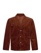 Seersucker Corduroy Casual Blazer Lindbergh Brown