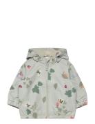 Jacket Taslan Baby Lindex Green