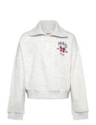 Sweatshirt With Collar Lindex Grey