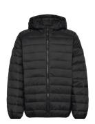 Jjebradley Light Puffer Hood Jnr Jack & J S Black