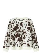 Nkforkide Ls Knit Box Name It Brown