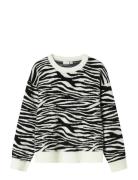 Nkforkide Ls Knit Box Name It Black