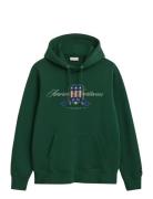 Graphic Hoodie GANT Green