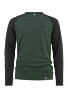 Norm Merino Wool Crew Bula Green