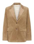 Lenipw Bz Part Two Brown